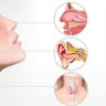 Фото профиля Dr Dave (MBBCh,MPH, FWACS(ORL)