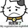 Фото профиля 已而罢liao