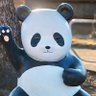 Profilbild von きゅるまみ