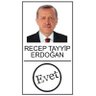 Sariye Eryiğit 的头像
