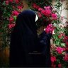 جنات علي الطائي 的头像
