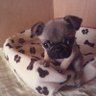 TOKI's profile picture