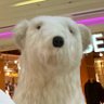 капитан беляшик's profile picture