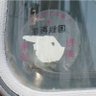 としちゃん 的头像