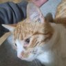 Jackie3426 profil fotoğrafı