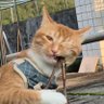 f0cus profil fotoğrafı