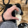 Фото профиля SKZ3XH