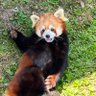 こた profil fotoğrafı