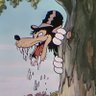 🐺El Lobo Feroz🐺's profile picture