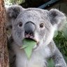 Huggy Bear's profile picture