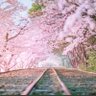 Фото профиля たろちゃん