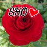 🫠ちえ❤️ profil fotoğrafı