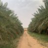 Profilbild von عبدالعزيز التويجري