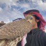 Abdullah2016's profile picture
