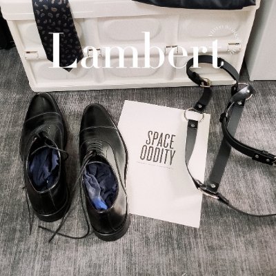 蓝伯Lambert's profile picture