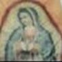 Фото профиля frijole