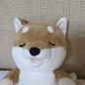 Profilbild von りんご
