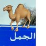 الــجــمــل🐪's profile picture