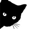 黒猫 的头像
