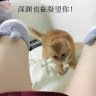 jacksporrow profil fotoğrafı