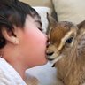 Profilbild von ريم 🦌
