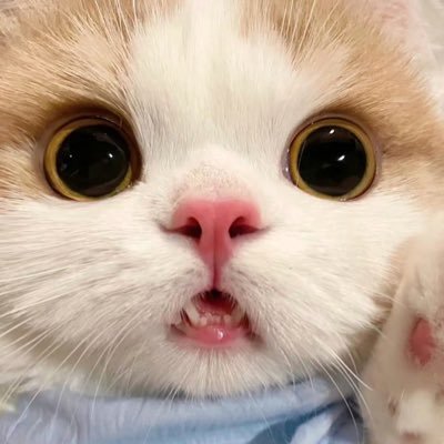 EN_NO_R's profile picture