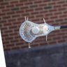 Фото профиля Alida Bleau