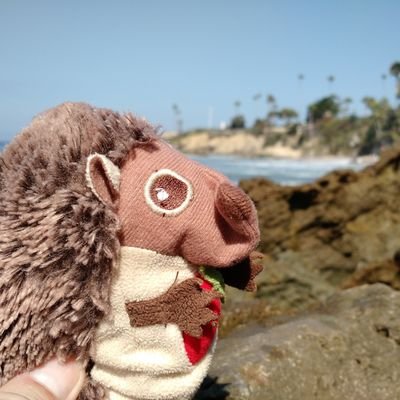 EugenFromSolIII's profile picture