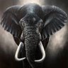 yoyob4real🐘 profil fotoğrafı