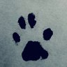Profilbild von Ballz