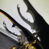Фото профиля csk