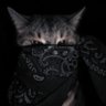 Profilbild von 7amo