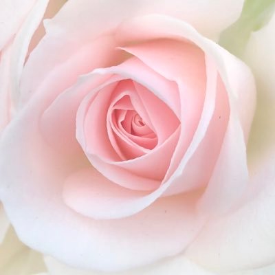 mammeonline's profile picture