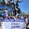 salopsharks ๐ ๐น๐๐๐บ๐ฆ ็ๅคดๅ