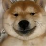 Profilbild von 咔咔咔咔