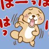 Profilbild von ねこラッコ