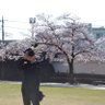 柴田和美 profil fotoğrafı