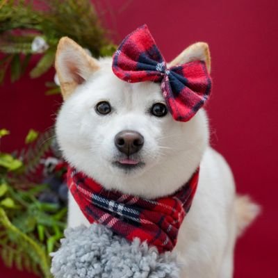 HANAHANA12073's profile picture