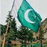 گولی کیوں چلائی's profile picture