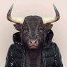 torito profil fotoğrafı