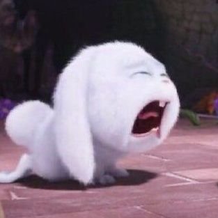 Kiwi 🐺🐱🫚🦖🛻 (busyyyy)'s profile picture