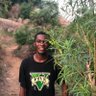 Profilbild von Bazman Abdulbasit