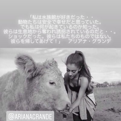 ジョンヌ🐰Vegan's profile picture