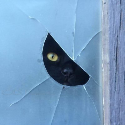 Bꓭambo's profile picture