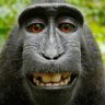 Mambo_Mengi.'s profile picture