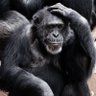 gurkan58's profile picture