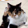 บ๊วยที่ไม่ใช่บ้วยบ๋วยบวย's profile picture