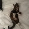 May Day's profile picture