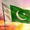 ali malik's profile picture