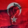 Rkoc profil fotoğrafı